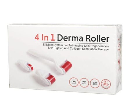 4 in 1 Derma Roller Set Online Sale