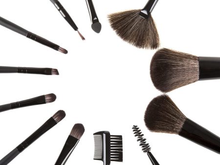 12 Piece Professional Makeup Brush Set Online Sale