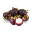 Mangosteen SL - 1-4 KG Cheap